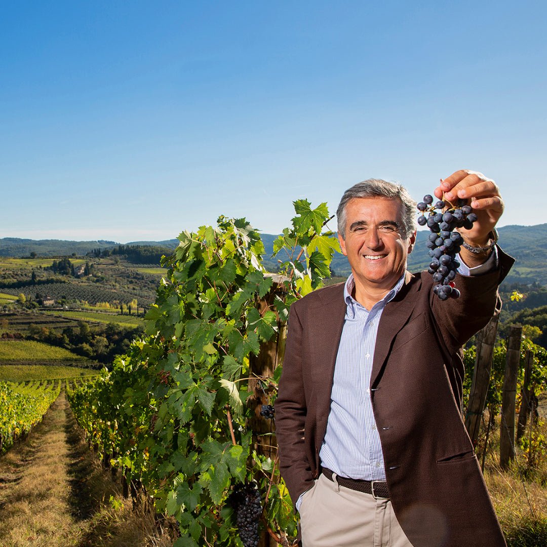 Fontodi Chianti Classico - Latitude Wine & Liquor Merchant