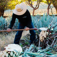 Fortaleza Still Strength Blanco - Latitude Wine & Liquor Merchant