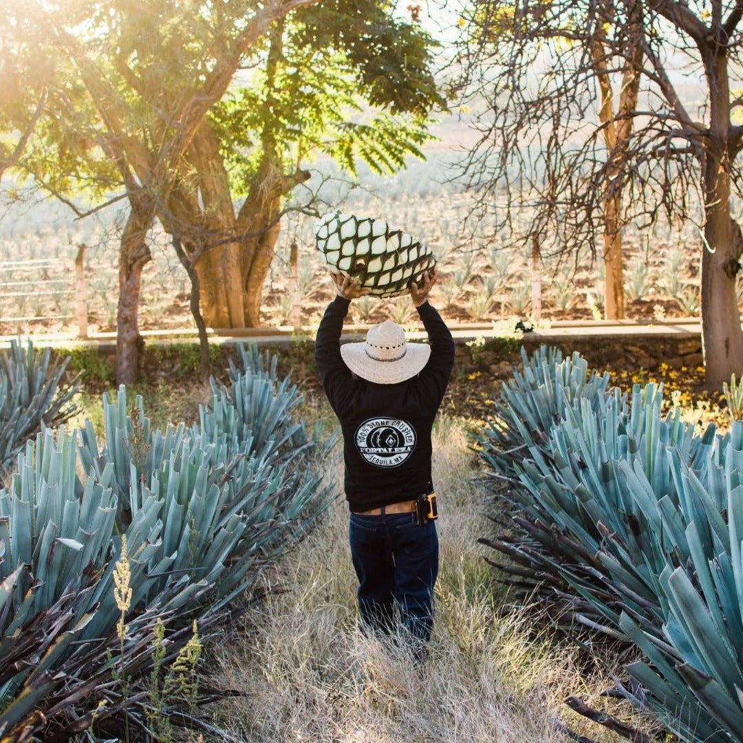 Fortaleza Still Strength Blanco - Latitude Wine & Liquor Merchant