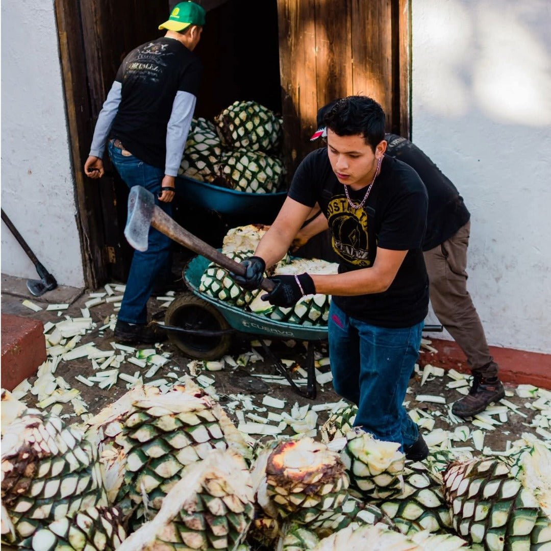 Fortaleza Still Strength Blanco - Latitude Wine & Liquor Merchant