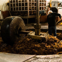 Fortaleza Still Strength Blanco - Latitude Wine & Liquor Merchant