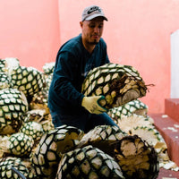 Fortaleza Still Strength Blanco - Latitude Wine & Liquor Merchant