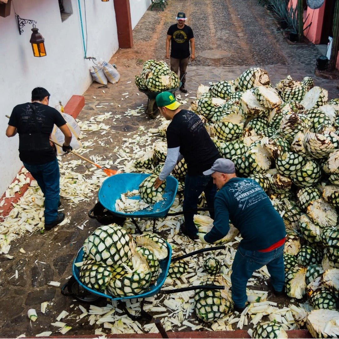 Fortaleza Still Strength Blanco - Latitude Wine & Liquor Merchant