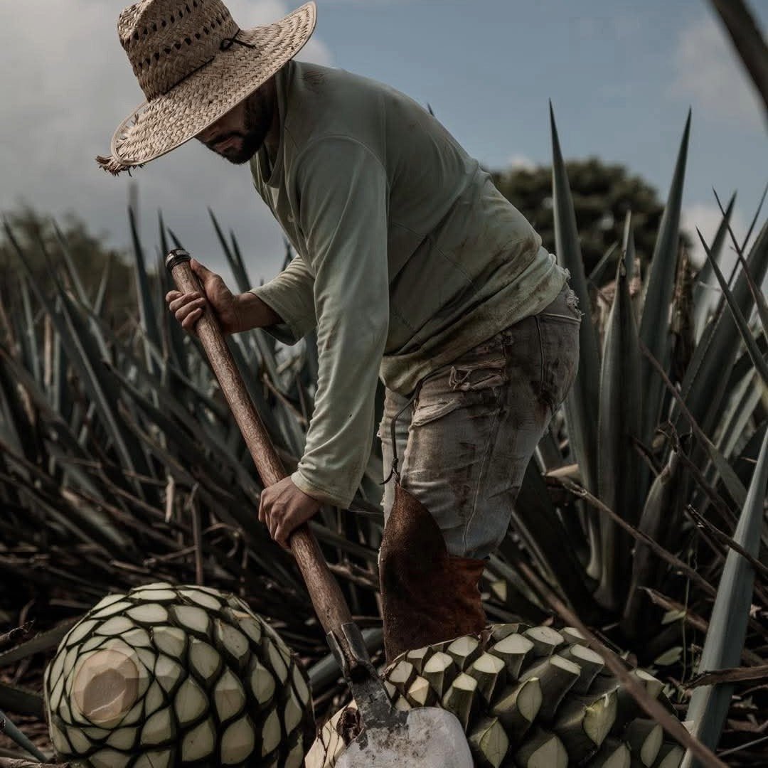 G4 Reposado Tequila - Latitude Wine & Liquor Merchant