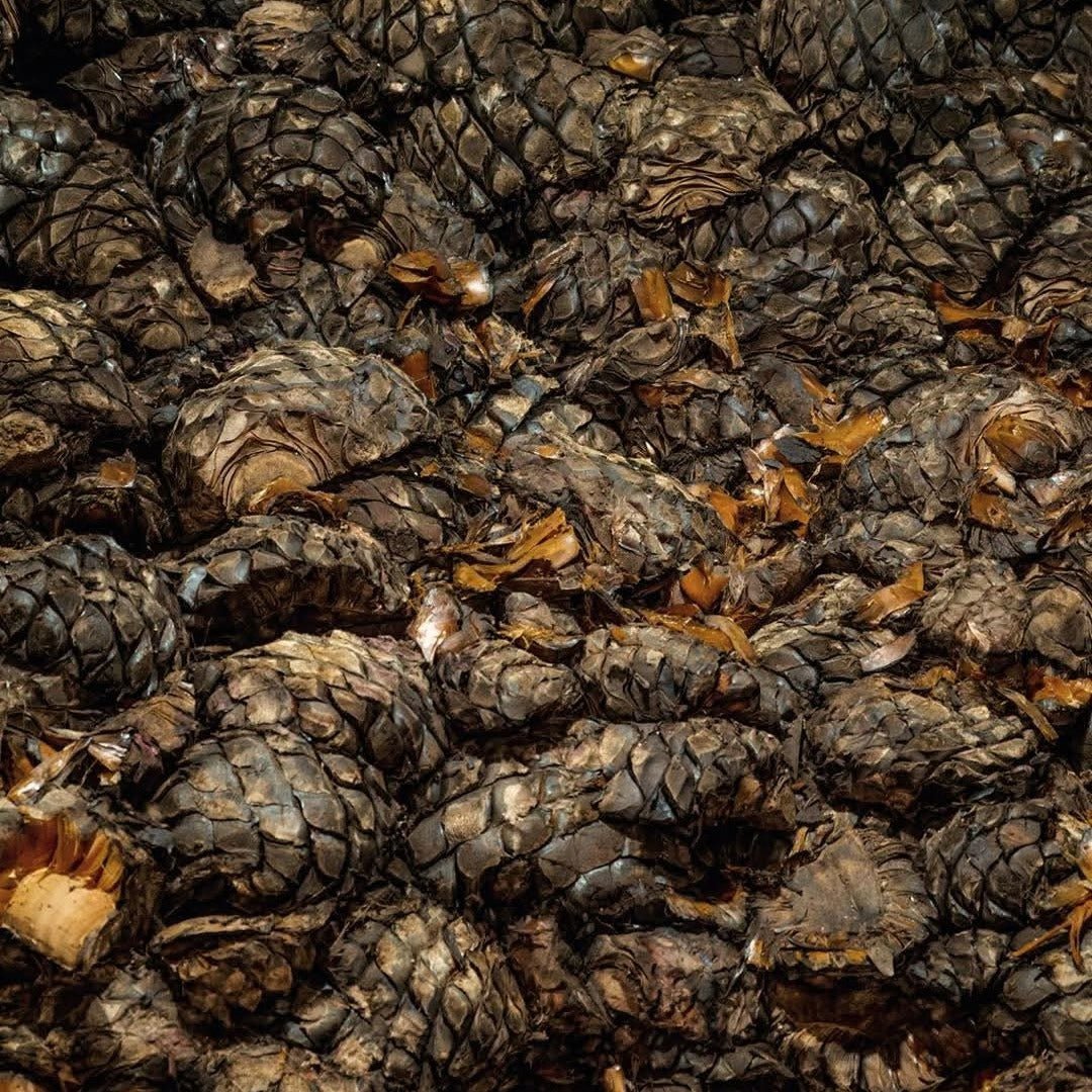 G4 Reposado Tequila - Latitude Wine & Liquor Merchant