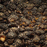 G4 Reposado Tequila - Latitude Wine & Liquor Merchant