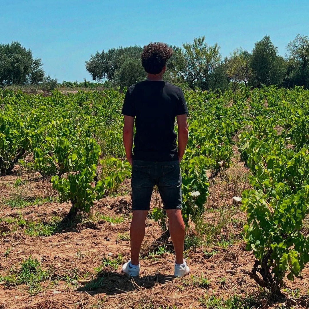 Gallina De Piel Mimetic Rojo - Latitude Wine & Liquor Merchant