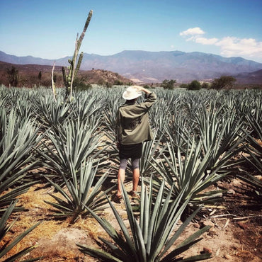 Gem & Bolt Mezcal Artesanal - Latitude Wine & Liquor Merchant