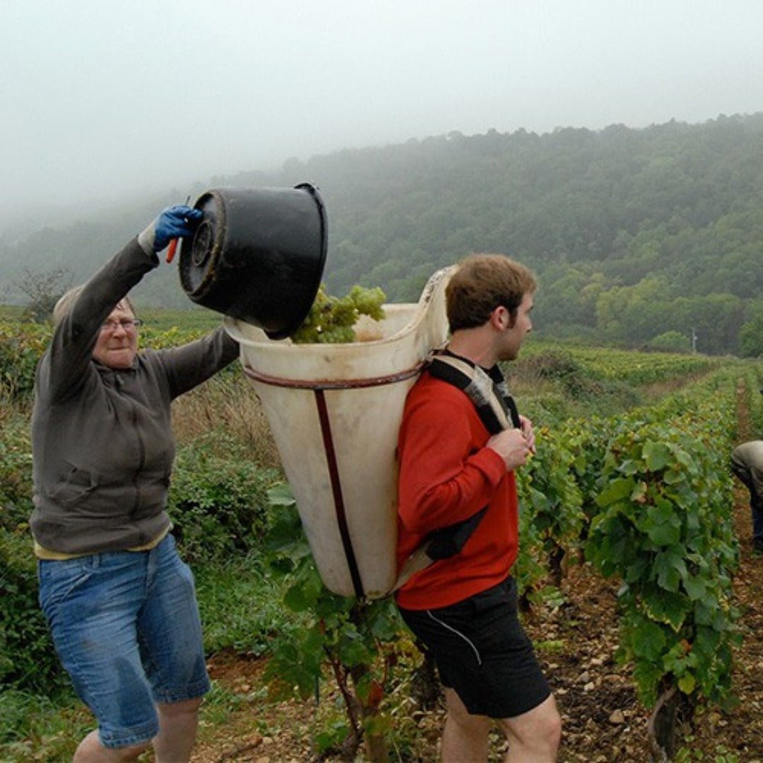 Gerard Thomas St Aubin - Latitude Wine & Liquor Merchant