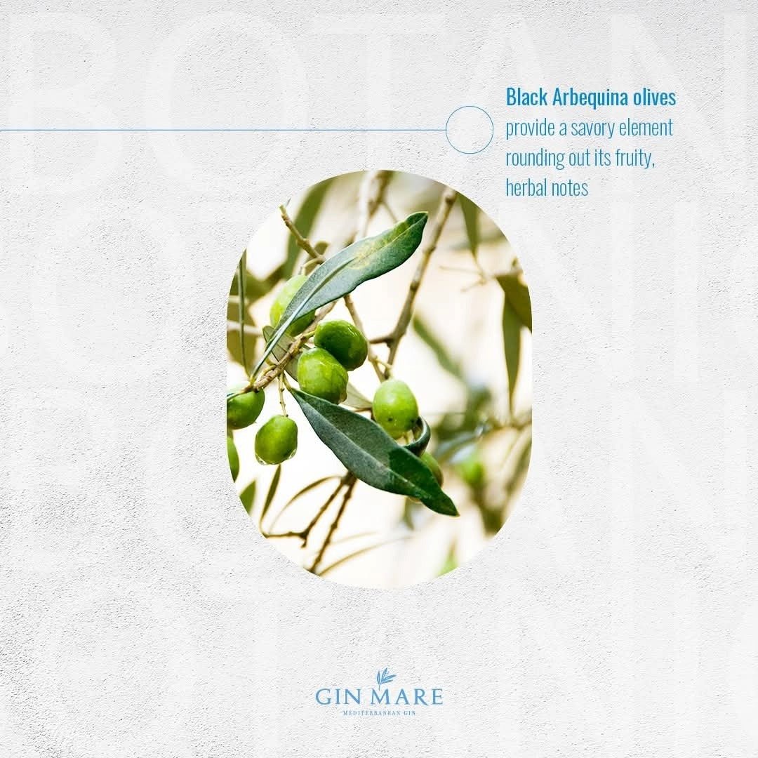 Gin Mare Capri - Latitude Wine & Liquor Merchant