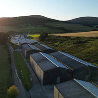 GlenAllachie Limited Release 12yo Sauternes Cask Finish - Latitude Wine & Liquor Merchant