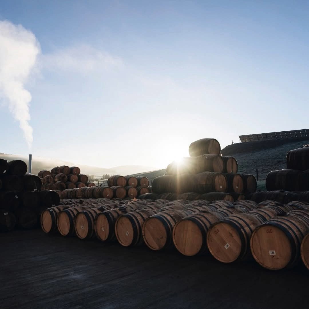 GlenAllachie Limited Release 12yo Sauternes Cask Finish - Latitude Wine & Liquor Merchant