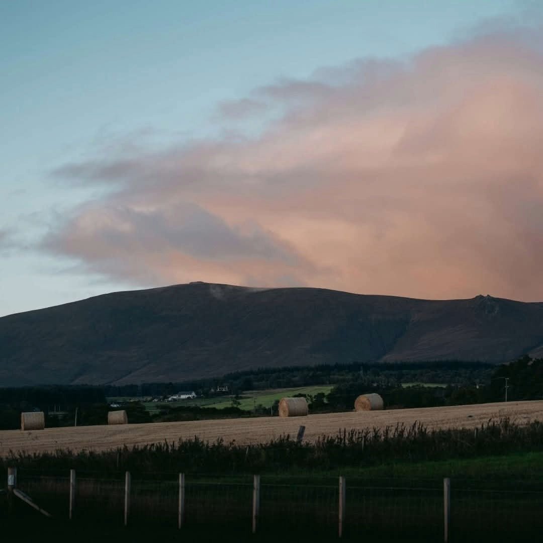 GlenAllachie Limited Release 12yo Sauternes Cask Finish - Latitude Wine & Liquor Merchant