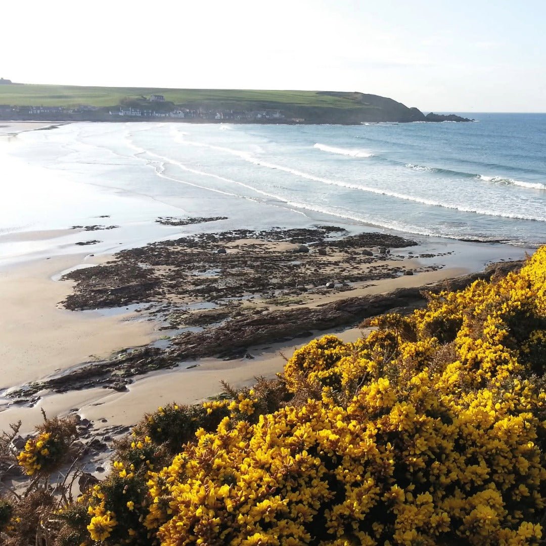 Glenglassaugh Portsoy - Latitude Wine & Liquor Merchant