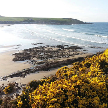 Glenglassaugh Portsoy - Latitude Wine & Liquor Merchant