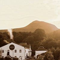 Glengoyne 15yo - Latitude Wine & Liquor Merchant