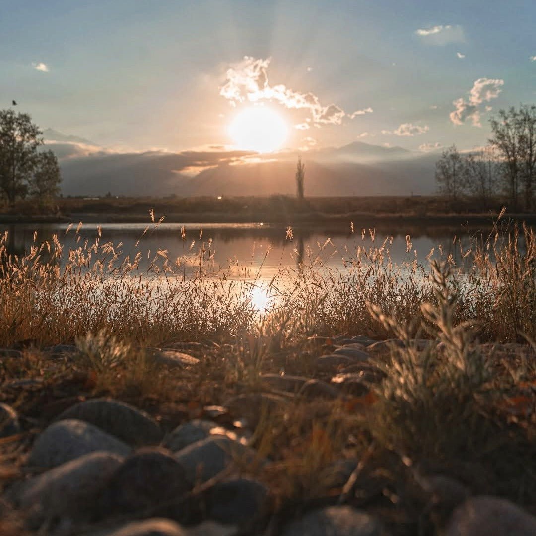 Gran Famiglia Bianchi Corte Tinto - Latitude Wine & Liquor Merchant