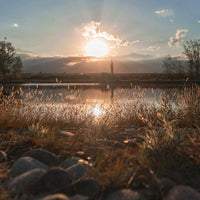 Gran Famiglia Bianchi Corte Tinto - Latitude Wine & Liquor Merchant