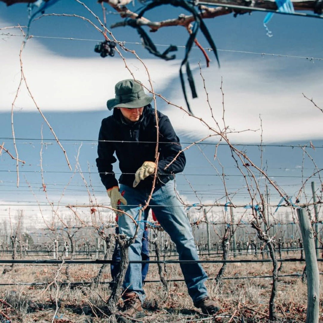 Gran Famiglia Bianchi Corte Tinto - Latitude Wine & Liquor Merchant