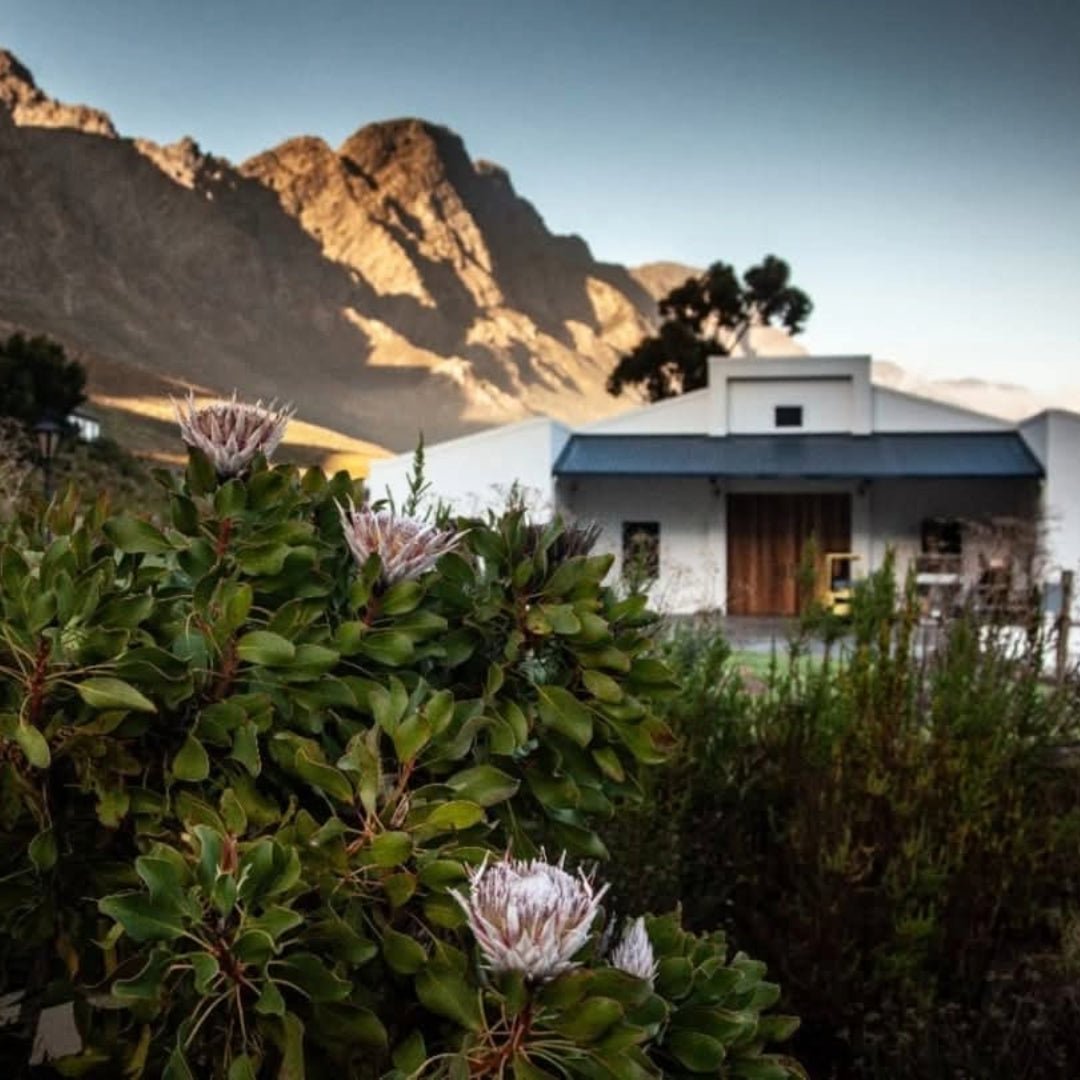 Green Flash Sunset Banghoek Chardonnay - Latitude Wine & Liquor Merchant