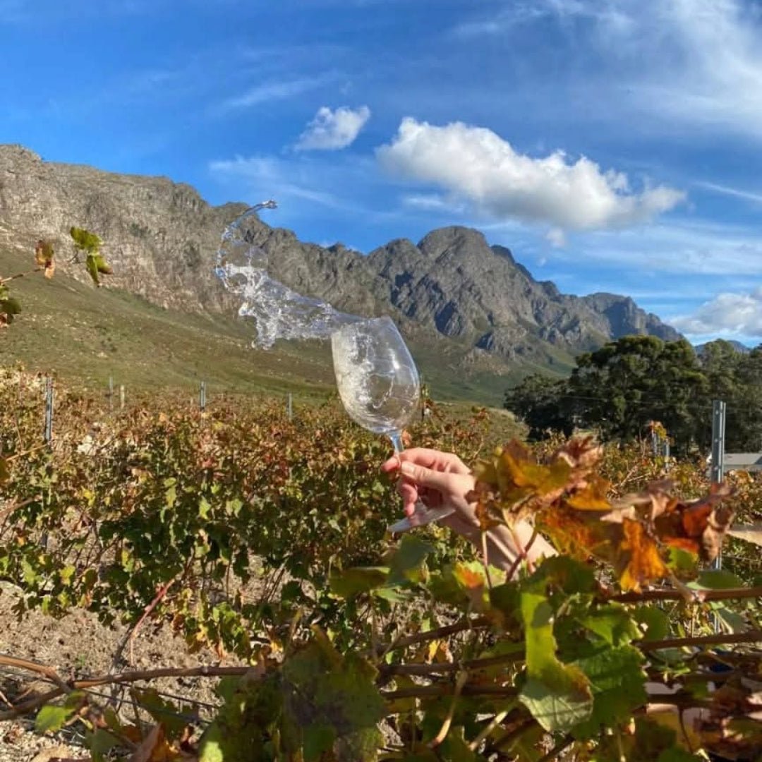 Green Flash Sunset Banghoek Chardonnay - Latitude Wine & Liquor Merchant