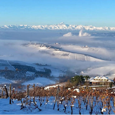 Gresy Monferrato Rosso - Latitude Wine & Liquor Merchant