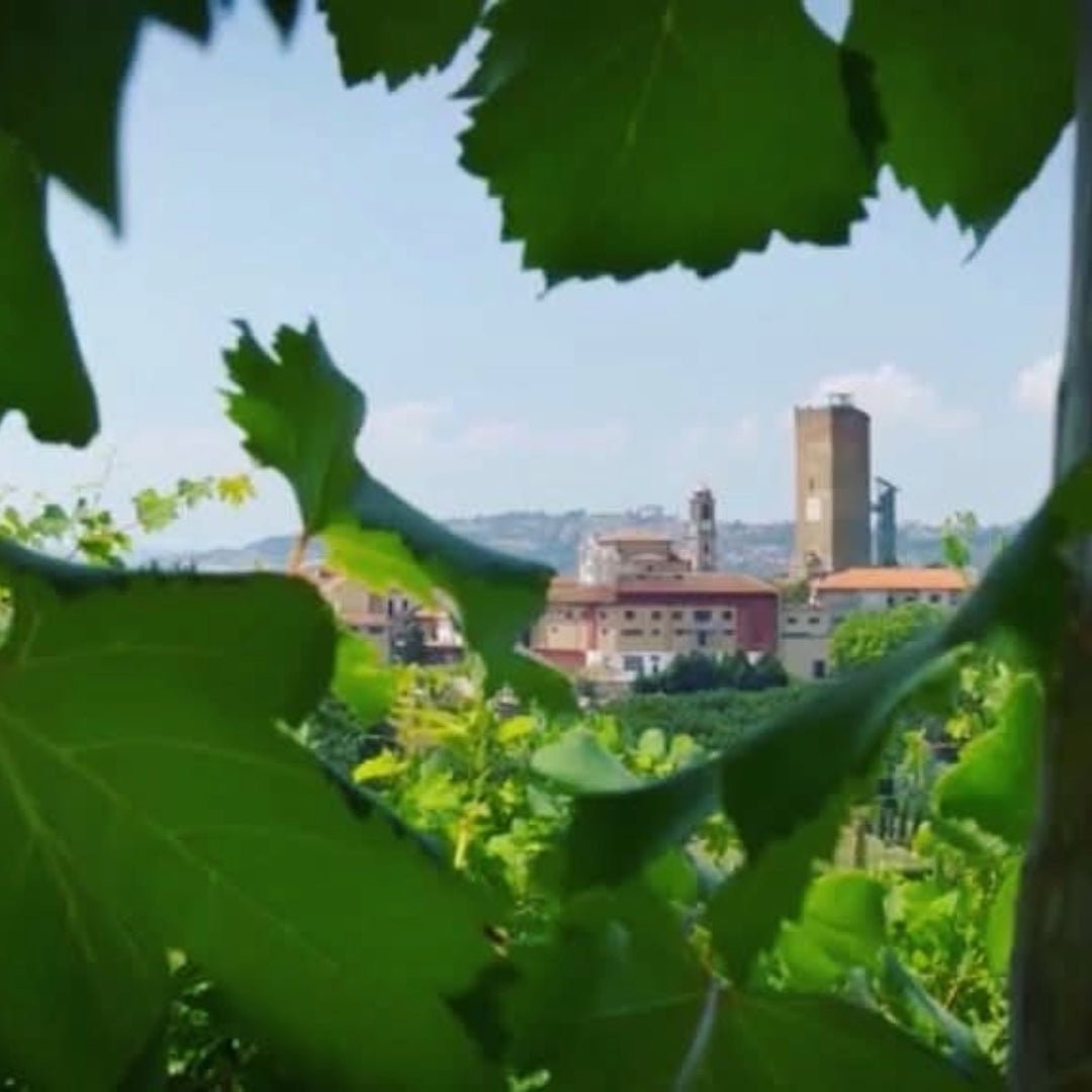 Gresy Monferrato Rosso - Latitude Wine & Liquor Merchant