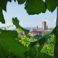 Gresy Monferrato Rosso - Latitude Wine & Liquor Merchant