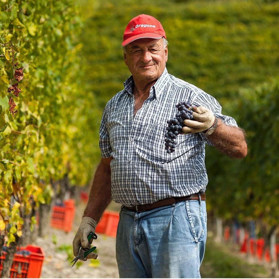 Gresy Monferrato Rosso - Latitude Wine & Liquor Merchant