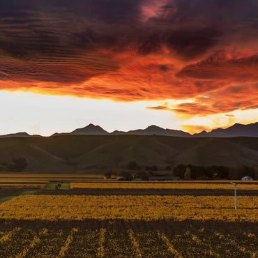 Greywacke Riesling - Latitude Wine & Liquor Merchant