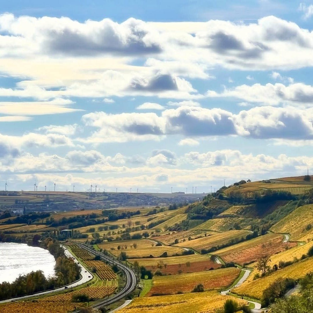 Gunderloch Redstone Riesling - Latitude Wine & Liquor Merchant