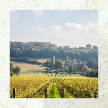 Hambledon Classic Cuvee Rose NV - Latitude Wine & Liquor Merchant