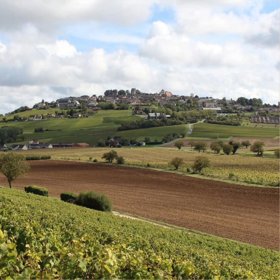 Henri Bourgeois Sancerre la Vignes Blanches - Latitude Wine & Liquor Merchant