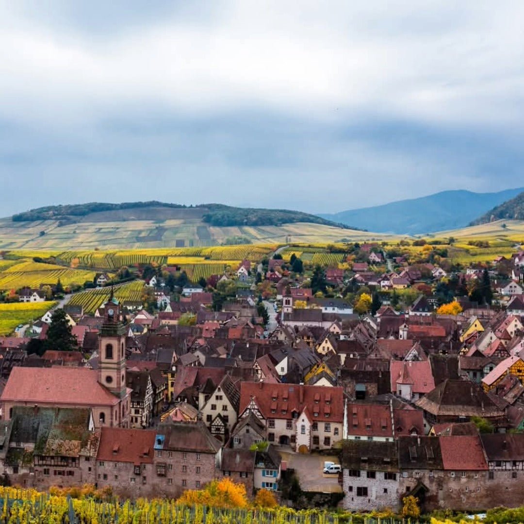 Hugel Gentil - Latitude Wine & Liquor Merchant