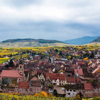 Hugel Gentil - Latitude Wine & Liquor Merchant