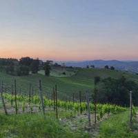 I Capitani Fiano Di Avellino - Latitude Wine & Liquor Merchant