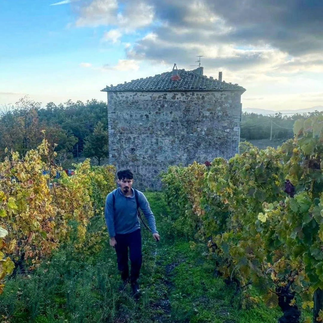 I Forestieri Rigomale Bianco - Latitude Wine & Liquor Merchant