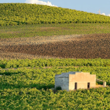 Il Folle Nero d'Avola - Latitude Wine & Liquor Merchant