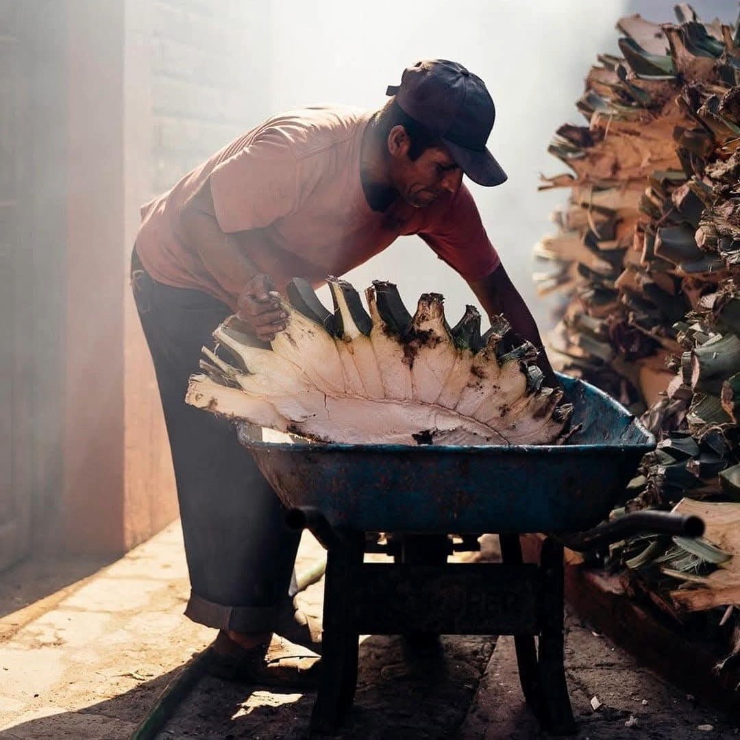 Ilegal Mezcal Reposado 70cl - Latitude Wine & Liquor Merchant