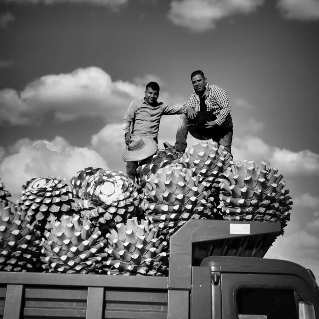 Ilegal Mezcal Reposado 70cl - Latitude Wine & Liquor Merchant