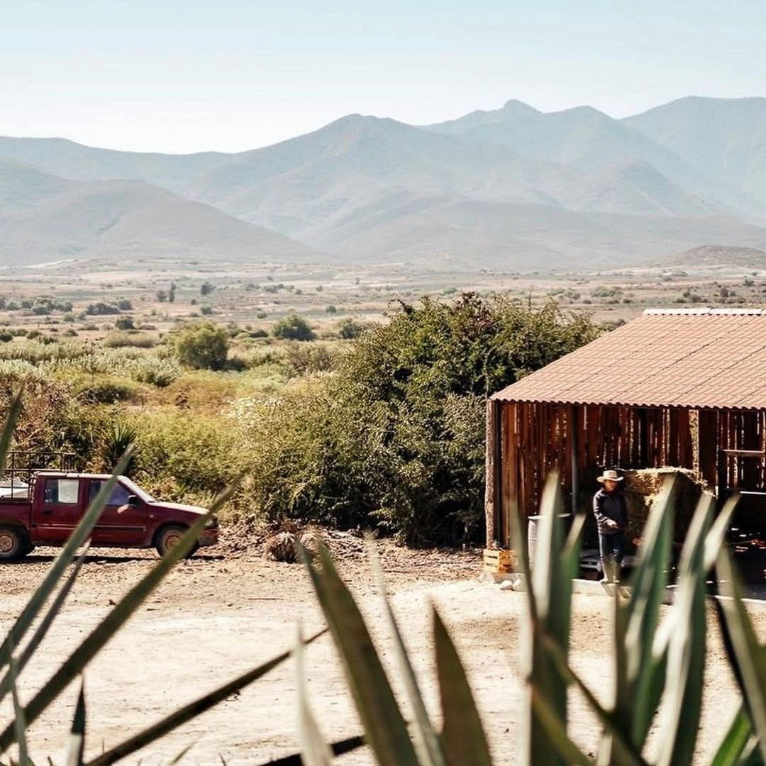 Ilegal Mezcal Reposado 70cl - Latitude Wine & Liquor Merchant