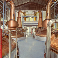 Indri Agneya Peated Indian Single Malt - Latitude Wine & Liquor Merchant