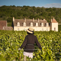 Joseph Drouhin Savigny - les - Beaune Clos des Godeaux - Latitude Wine & Liquor Merchant