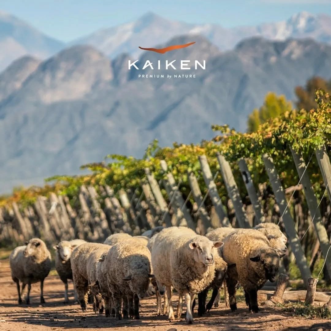 Kaiken Ultra Malbec - Latitude Wine & Liquor Merchant