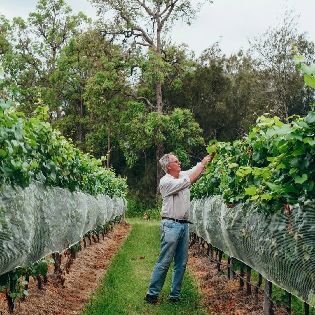 Keith Tulloch Shiraz - Latitude Wine & Liquor Merchant