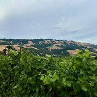 Kendall - Jackson Vinter's Reserve Zinfandel - Latitude Wine & Liquor Merchant