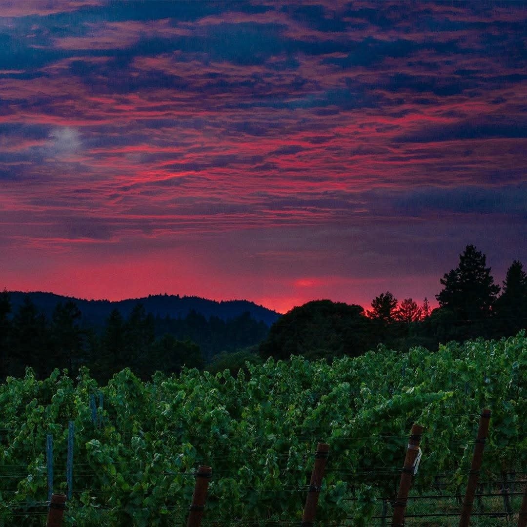 Kendall - Jackson Vinter's Reserve Zinfandel - Latitude Wine & Liquor Merchant