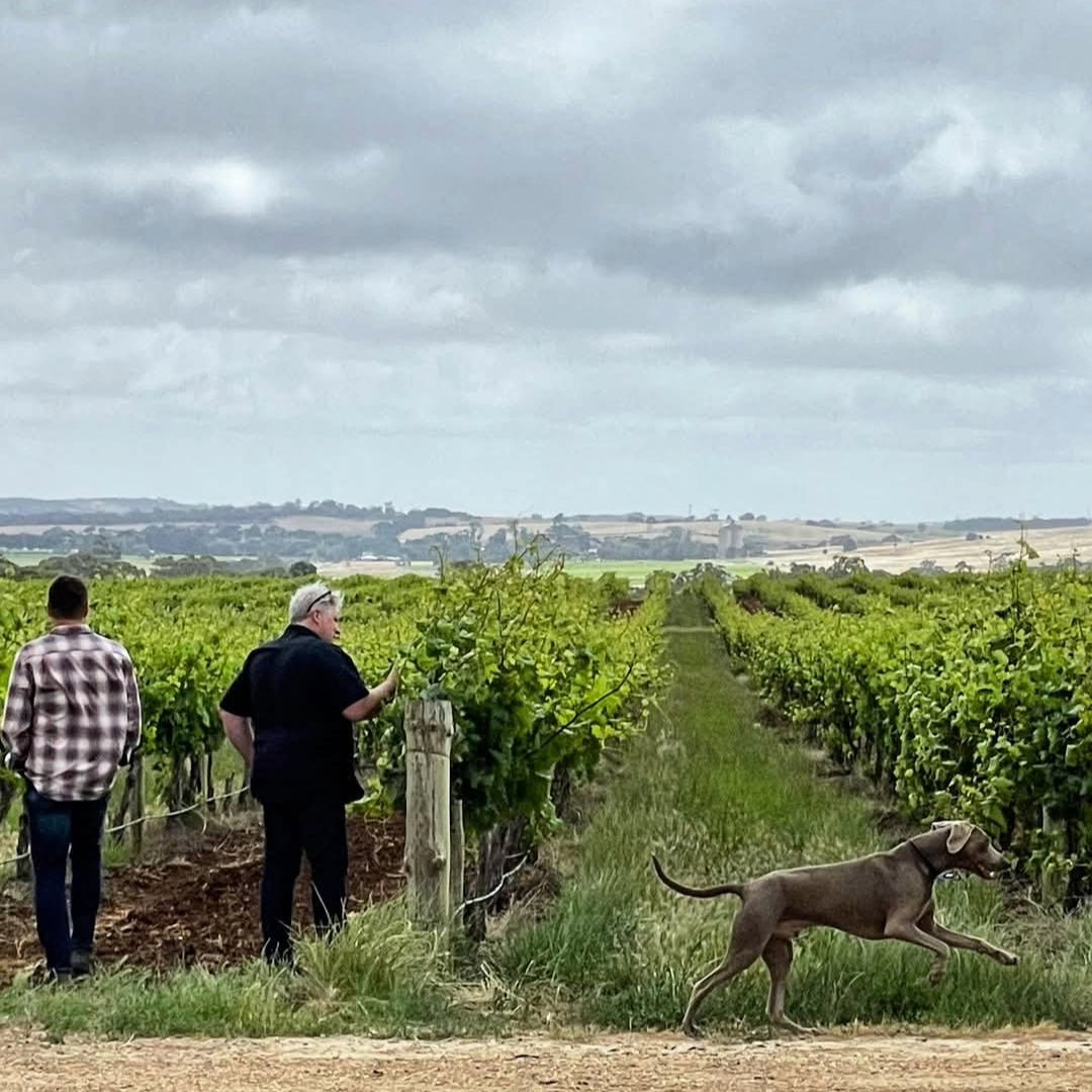 Kennedy Sons of Eden Barossa GSM - Latitude Wine & Liquor Merchant