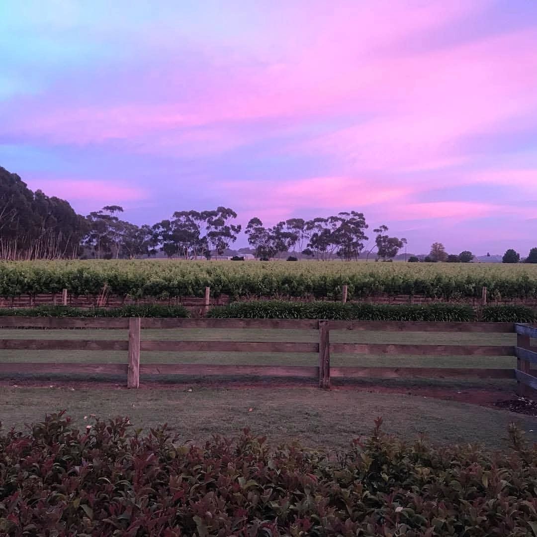 Killibinbin Sneaky Shiraz - Latitude Wine & Liquor Merchant