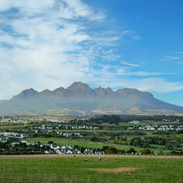 Kleine Zalze Barrel Fermented Chenin Blanc - Latitude Wine & Liquor Merchant